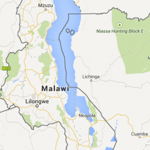 mud pump exporter in Malawi