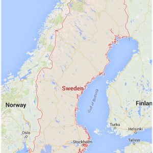 mud pump exporter in Sweden