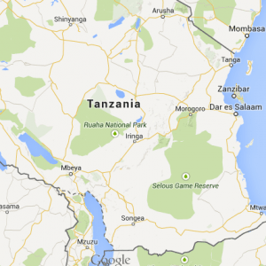 mud pump exporter in Tanzania