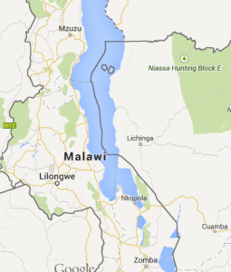 Malavi